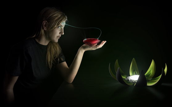 Magic Leap, Google investe 500 milioni di dollari