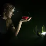 Magic Leap, Google investe 500 milioni di dollari