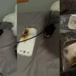 Molte le esplosioni dei Samsung Galaxy, ecco le ragioni